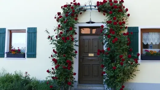 Eingang mit roten Kletterrosen